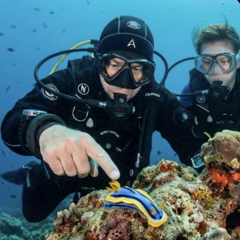 Formation de Plongeur Bio Niveau 1