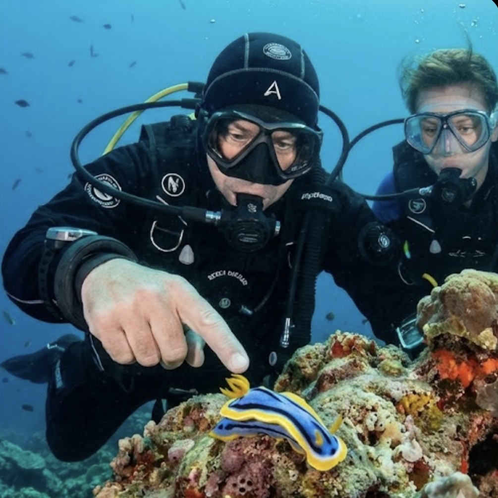 Formation de Plongeur Bio Niveau 1