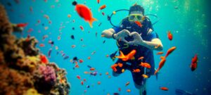 Plongeur Poisson Coeur Scaled E1766940799491 300x135