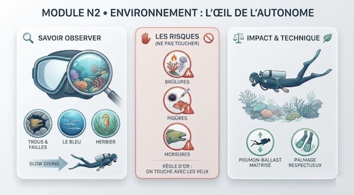 Infographie de synthèse du module Environnement Niveau 2 : Observation, Risques et Technique