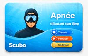 théorie apnée débutant en eau libre