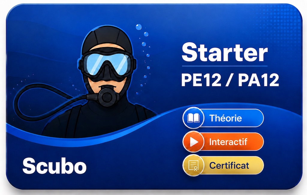 Carte PE12 PA12