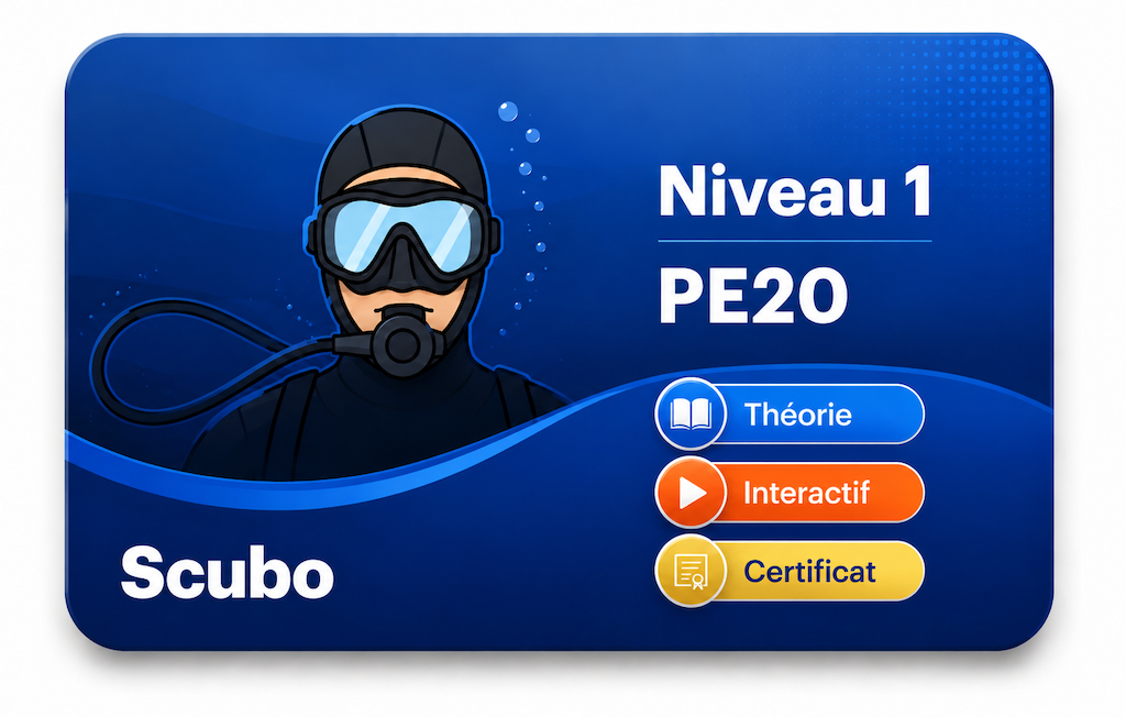 20 accès élèves niveau 1 plongée