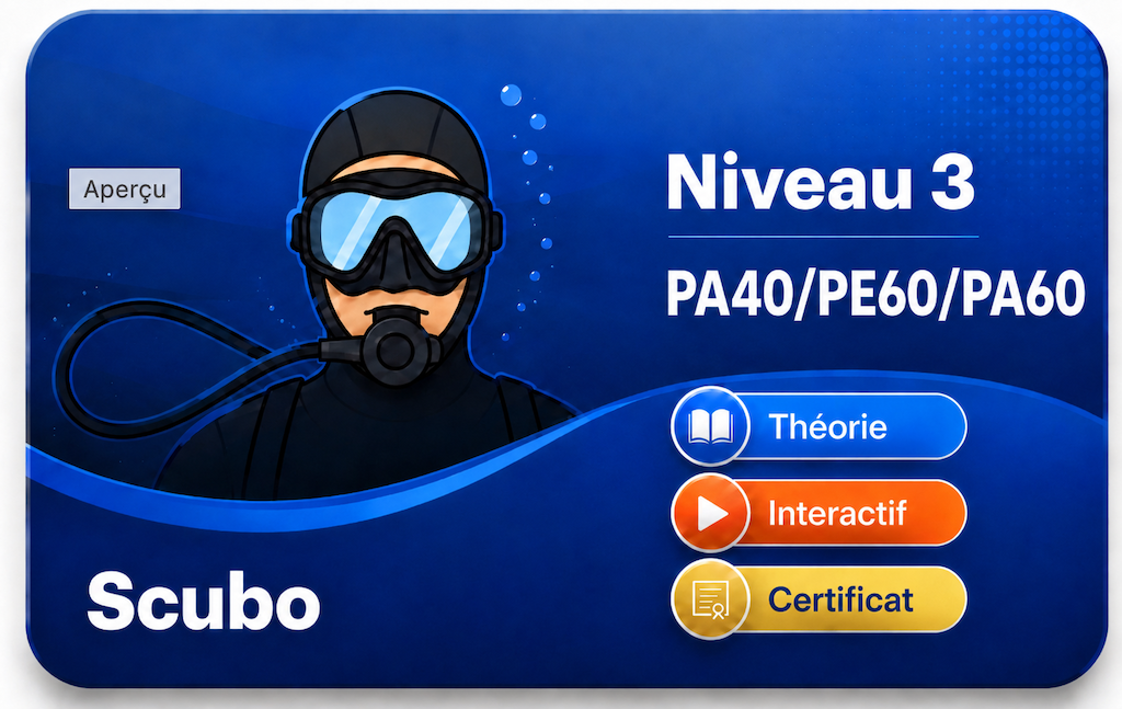 Carte Niveau 3 1